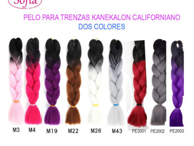 A210-PELO PARA TRENZAS KANEKALON CALIFORNIANO