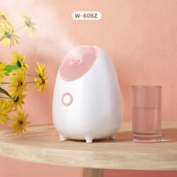 A2879 - VAPORIZADOR FACIAL